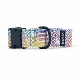 Kaleido Snake dog collar, 4 cm width, ECONABLE recycled buckle, front-arc angle, REPREVE canvas, handmade in EU.