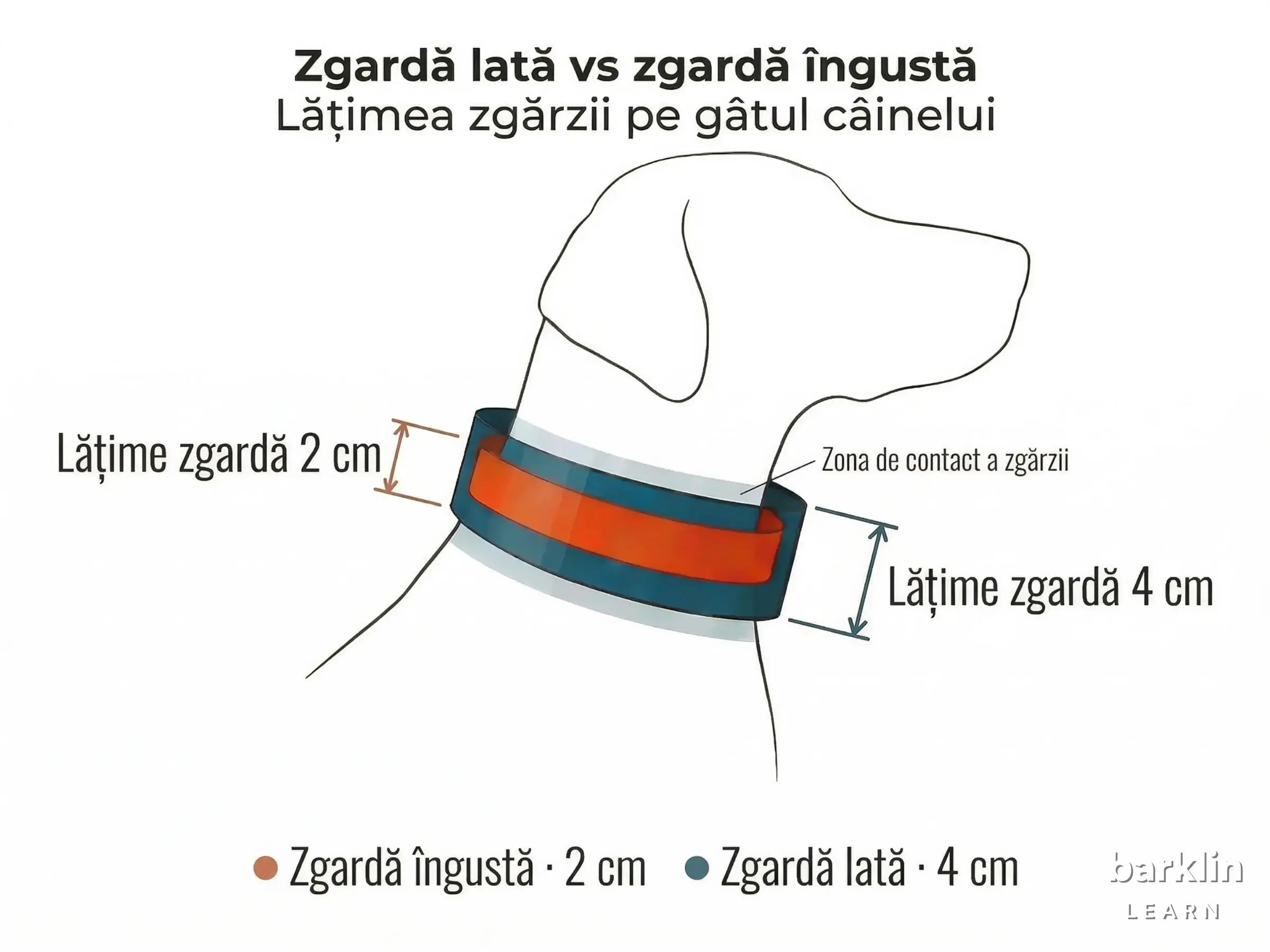 Diagramă cu lățime de 2 cm și 4 cm a zgărzii pentru câini pe gâtul câinelui — comparație între zgardă lată și lățime standard.