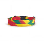 Dog collar in Barklin Rhythm pattern, standard 2.5 cm width, shown in back arc view to highlight the continuous printed textile pattern and structured collar shape.