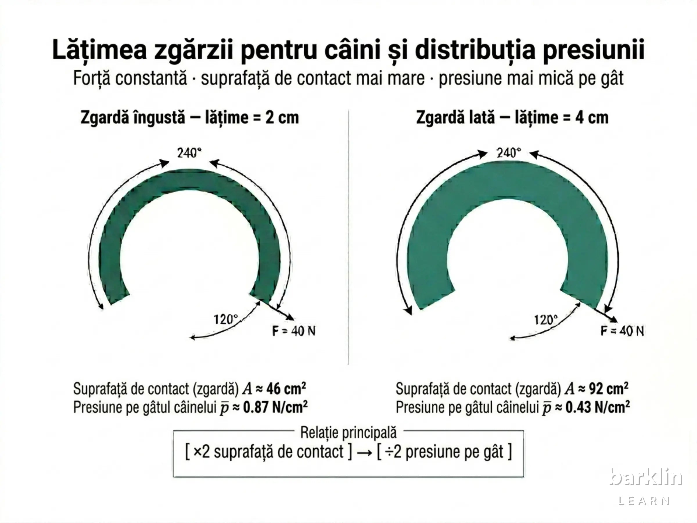 Model cilindric gât câine cu zgardă — arc de contact, lățime și forța lesei marcate
